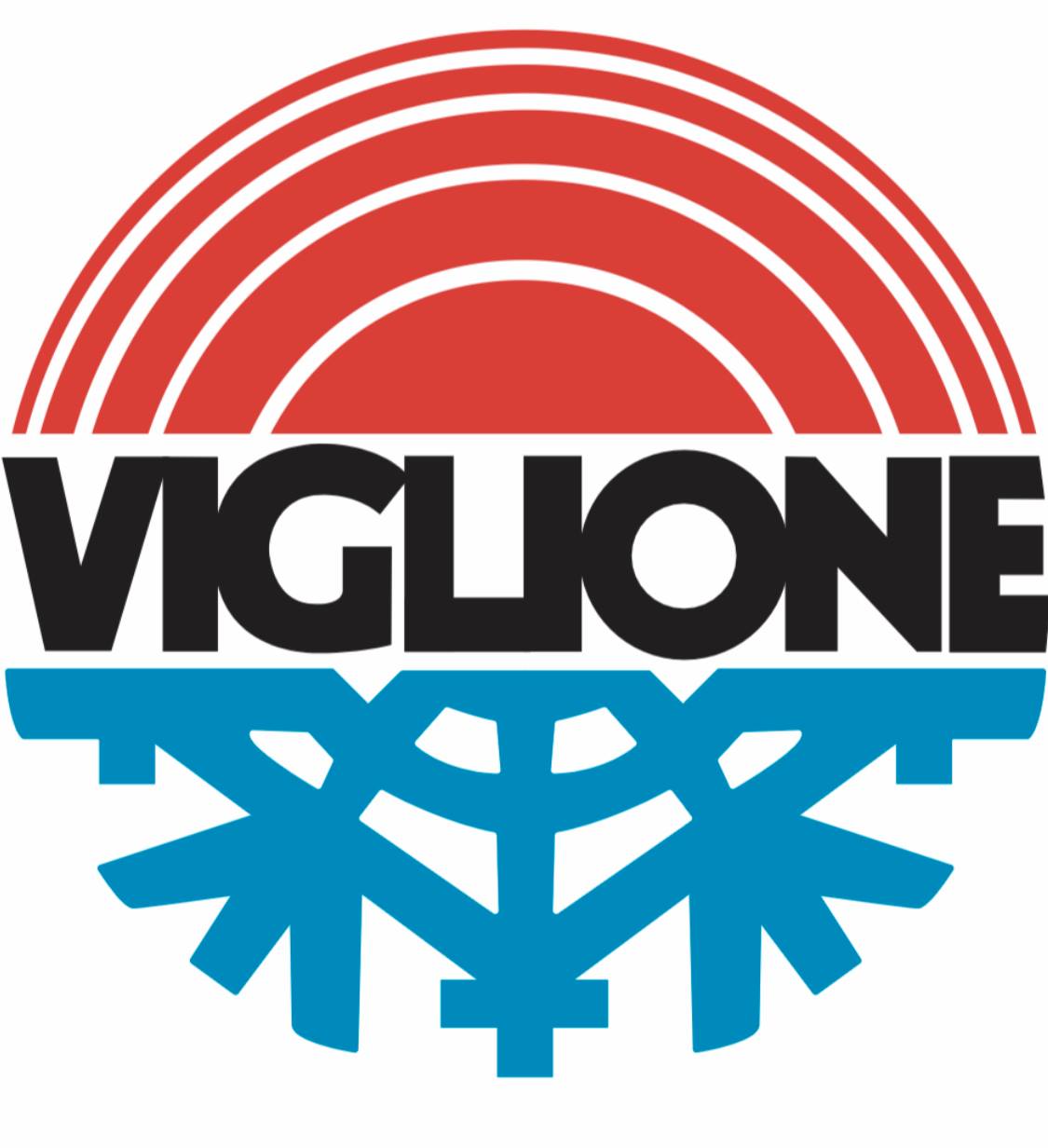 Viglione_logo